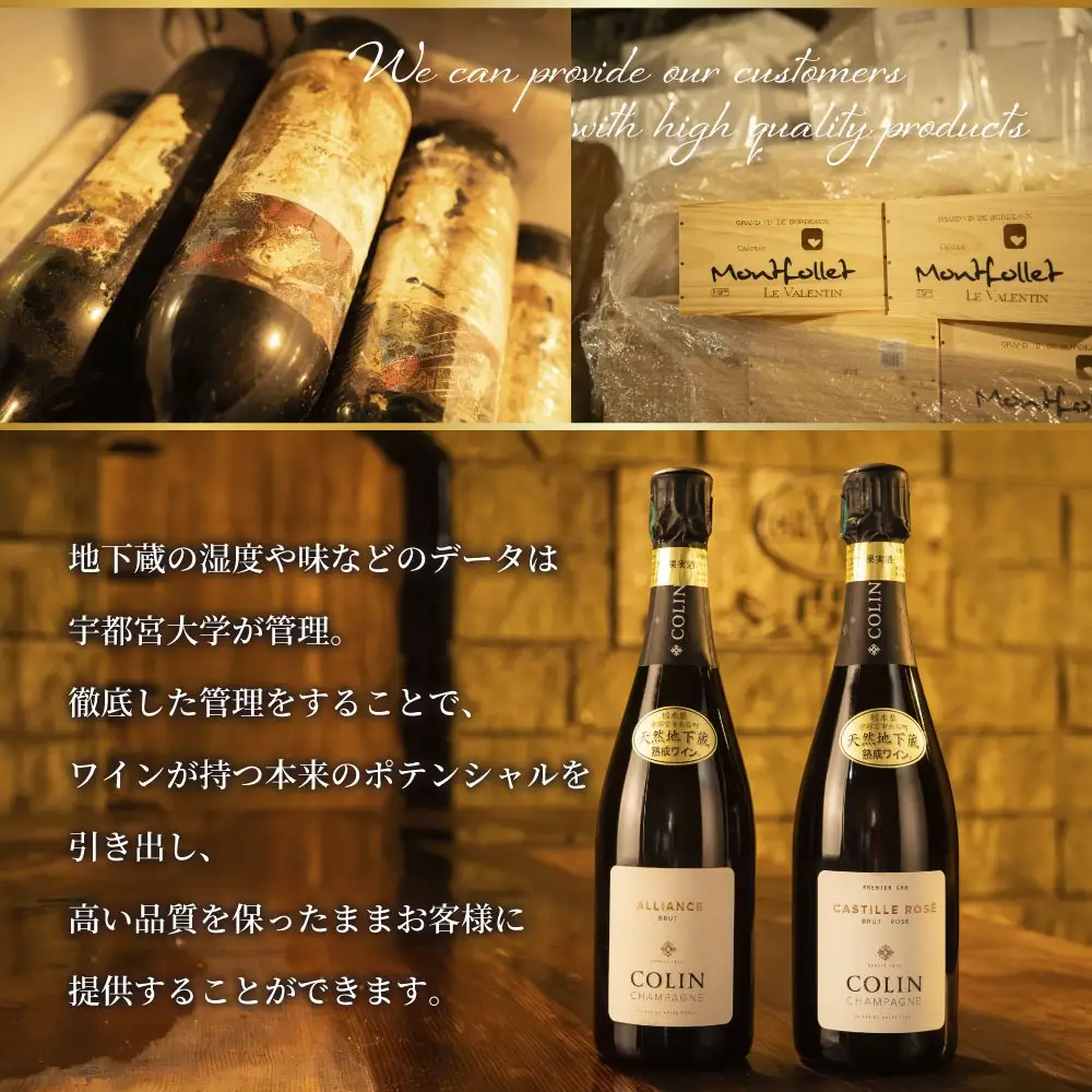 大谷の天然地下蔵で深みを増すワイン ブルゴーニュ 熟成ボージョレ ヌーヴォー 赤 2本セット | 赤ワイン お酒 飲み比べ セット ギフト 栃木県 宇都宮市