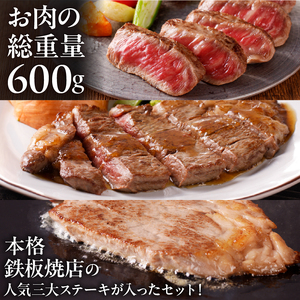 鉄板焼金三の希少部位ステーキセット（飛騨牛のヒレステーキ、サーロインステーキ、赤身のステーキ）【0048-001】岐阜県 可児市 お肉 肉 牛肉  和牛 ブランド ブランド牛 国産  冷凍 お取り寄せ グルメ
