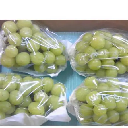 長野県中野市産ぶどう・シャインマスカット秀品 2kg箱 3～5房入り【配送不可地域：離島】【1494258】