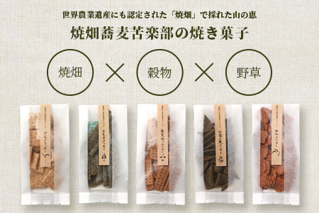 椎葉村の焼畑農家がつくった 山桑の葉クッキー【手づくりの焼菓子】YS-35