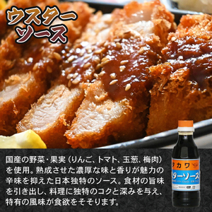 本格ソース10種 ＆ お好み焼き粉 セット 計11品 ( ウスター ポン酢 塩だれ たこ焼き 食べ比べ )