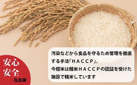 【令和7年産】無洗米 5kg ブランド米 令和7年産 むせんまい 籾貯蔵今摺米 きたくりん 北海道米 北海道 定期便アリ 米【A-025】