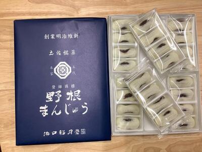 【最速発送】創業明治維新 浜口福月堂の野根まんじゅう 48個入 (24個入り×2箱) 【創業明治維新浜口福月堂】 [ATCT005]　スピード 最短 最速 発送