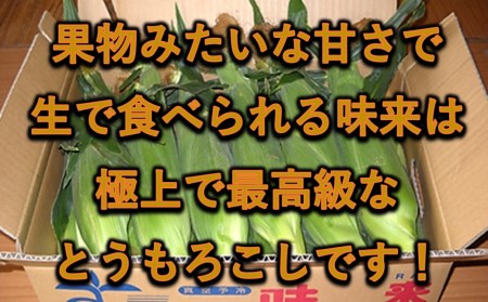 数量限定！JAふかや　朝採りとうもろこし「味来」　13本入り　【11218-0457】