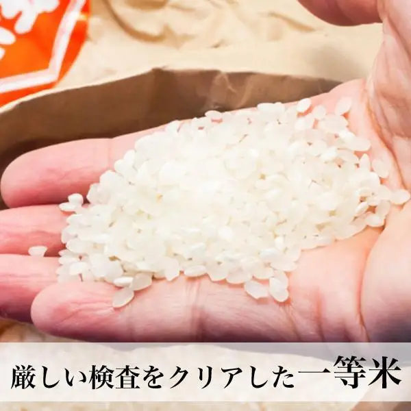 【令和7年産】福岡県産米食べ比べ＜無洗米＞セット「夢つくし」と「元気つくし」2種類  計10kg