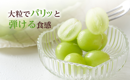 ぶどう 2026年 先行予約 シャイン マスカット 晴王 3房～6房 約2kg 8月下旬～11月下旬発送 ブドウ 葡萄 岡山県産 国産 フルーツ 果物 ギフト 