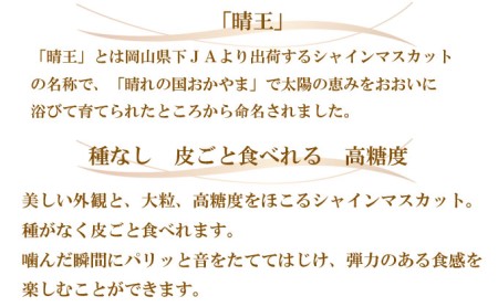 ぶどう 2026年 先行予約 シャイン マスカット 晴王 約500g×2房 8月下旬～11月下旬発送 ブドウ 葡萄 岡山県産 国産 フルーツ 果物 ギフト 