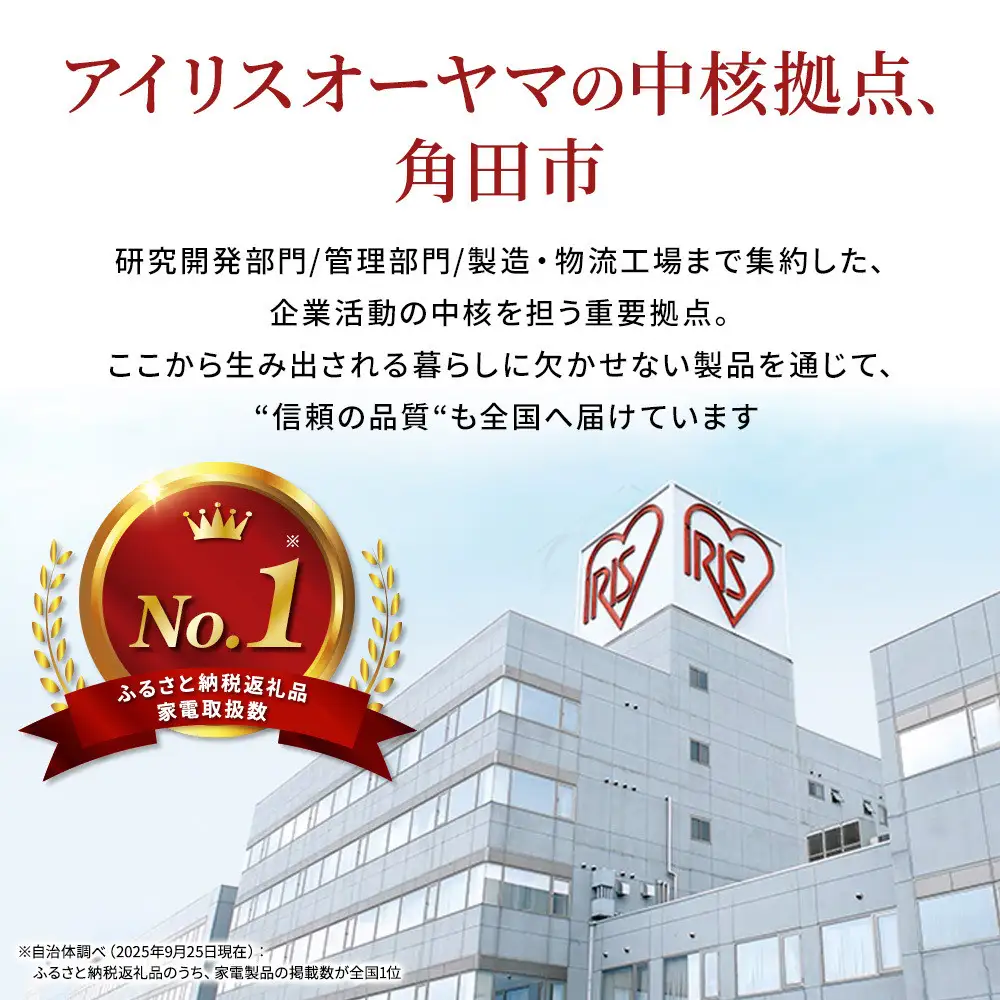 不織布プリーツ マスク  アイリスオーヤマ PN-NC60L ｜ マスク 花粉症  