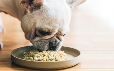 AS-2168 Buddy FOOD 02 鶏ささみ×6パック 【バディフード】