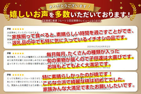 3回 厳選フルーツ定期便 シャインマスカット 桃 黒ぶどう【2026年発送】 定期便