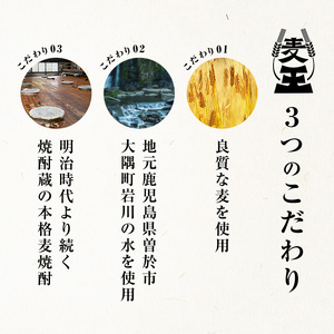 ＜定期便・全6回(連続)＞ 鹿児島 本格 麦焼酎 麦王 パック (1.8L×6本×6回)【岩川醸造】T8-v02