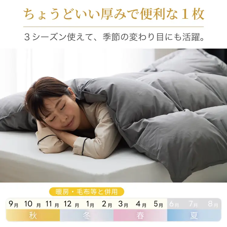 【春秋用】羽毛布団 シングル 合掛け グレー 無地 ｜[川村羽毛 山梨県 韮崎市 20741734]