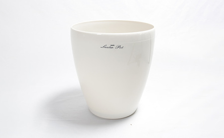 沖縄の観葉植物 フィカス ウンベラータ6号 ラスターポット 観葉植物