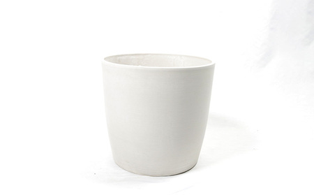 沖縄の観葉植物 フィカス ウンベラータ6号 シュエット鉢ポット 観葉植物