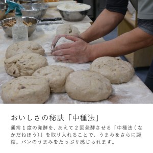 冷凍パンセット 森のパンやさん 凜香「酵母パン」６個セット ライ麦パン 酵母パン 主食 朝食 おやつ はちみつりんご ぶどう 金時豆 焼き芋 お取り寄せ グルメ【E-001】