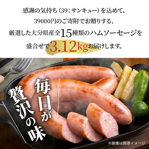 感謝の39セット/15種ハムソーセージ盛合せ3.12kg_0250N