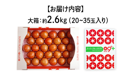 【母の日専用】 スーパーフルーツトマト 大箱 約2.6kg ×1箱 糖度9度以上 《5月4日～10日お届け メッセージカード付》 [BC066sa]