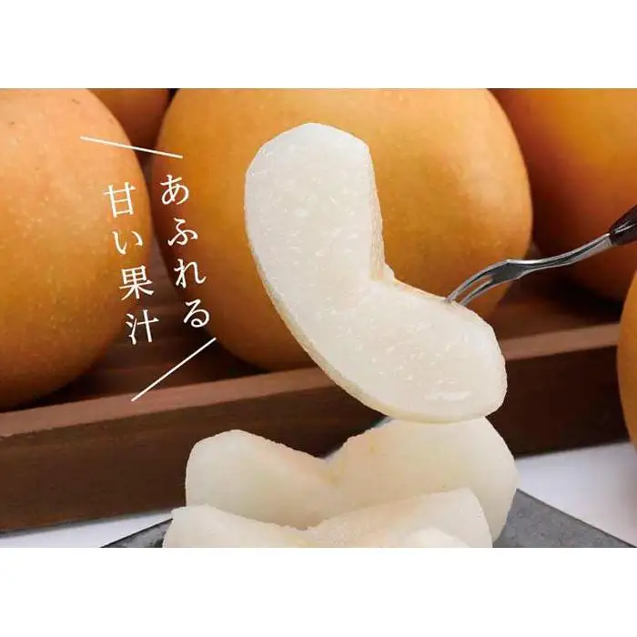 大玉新甘泉 2.5kg箱(5～7玉入)【たにがみ農園】