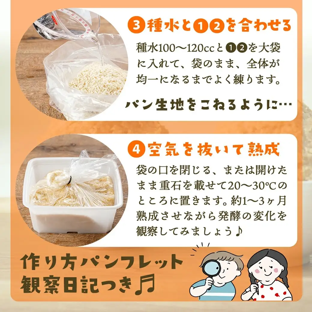 お家で簡単!味噌づくりキット【麦味噌】〔AA-G802〕_(都城市) 味噌づくりキット 麦味噌 蒸し大豆 麦麹 塩 塩分濃度約11％