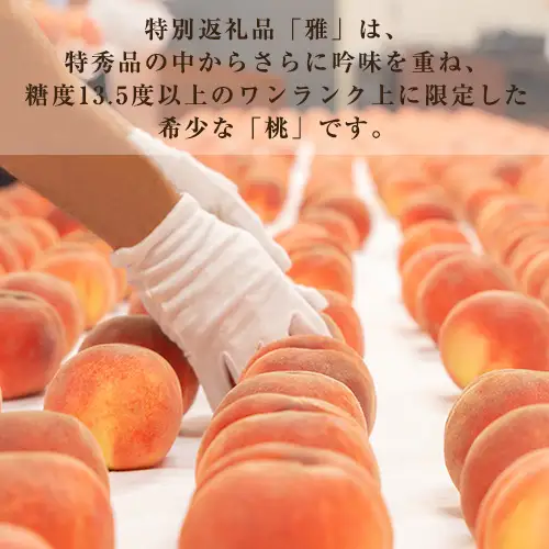 献上桃の郷桑折町特別返礼品「雅」【2026年産】糖度13.5度以上【数量限定】2kg（5～6玉）桑折町産 ／ もも モモ 果物 フルーツ 旬 甘い 甘み ジューシー 果肉 果汁 新鮮 フレッシュ デザート おいしい 産地直送 桑折 こおり こおりまち 福島県 特産品 No.177