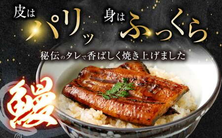 JS-224【3カ月定期便】 九州産うなぎ蒲焼 約170g×5尾×3回