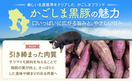 AS-703 かごしま黒豚しゃぶしゃぶ味噌鍋セット ロース肉300g バラ肉300g 特製味噌スープ ちゃんぽん麺 薩摩八重ファーム 工房みかく亭