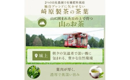 AS-431 崎原製茶 川内ほまれ【金】煎茶ティーバック 計36パック（6g×36パック）お茶 緑茶
