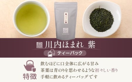 AS-328 崎原製茶 2種ティーパックセット 煎茶（川内ほまれ 紫）・玉露 計24パック お茶 緑茶