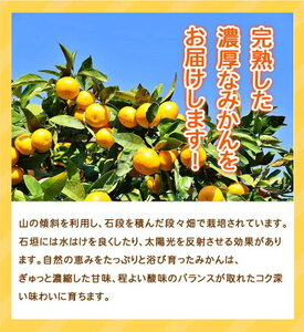 G7345_【2026年11月下旬より発送】紀州 有田産 濃厚甘熟 温州みかん 7.5kg 【家庭用 訳あり】