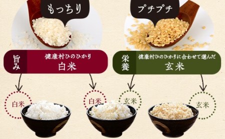 お米10kgと玄米1kg×2袋セット 五ﾂ星お米マイスター厳選! ESR-122