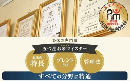 鹿児島県産あきほなみ 薩摩エース お米マイスター厳選 特A 5㎏×2袋（10kg）お米 精米 DS-309