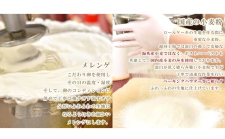 ロールケーキ 大和郡山 金魚 出目金 セット いちご ショコラ 詰め合わせ スイーツ お菓子 菓子 おやつ 生菓子 洋菓子 デザート 手土産 ギフト プレゼント 贈答 贈答品 贈り物 ご当地 ご当地スイーツ ご当地グルメ 冷凍 冷凍配送 奈良 奈良県