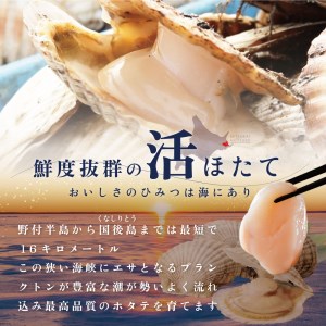 特大活ほたて ３kg相当 7～14枚入り＜朝どり新鮮出荷!＞【KN0000003】ほたて 北海道 別海町