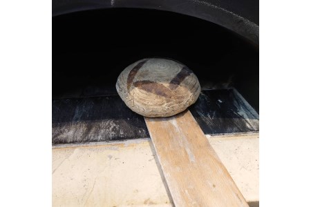 石窯パン おまかせ セット カンパーニュ 生クリームパン その他おまかせ 自家製酵母 低温長時間発酵 冷凍発送 広島県 呉市 ku020-001-r