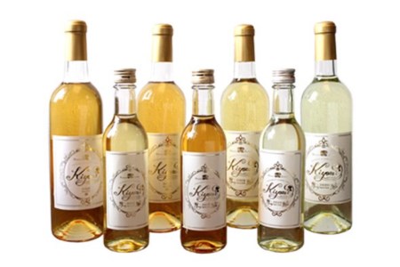 希少品種 プリンス清見を使ったみかんワイン「kiyomi」12本 720ml お酒 記念日 お祝い ウェルカムドリンク アペリティフ 食前酒 広島県 呉市 ku048-007-r