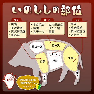 「野呂くじら」いのしし肉 3パックセット（計850g）鍋用 牡丹肉 ぼたん鍋 いのしし汁 猪肉 ジビエ ロース うで もも 詰め合わせ 広島県 呉市 ku049-001-r
