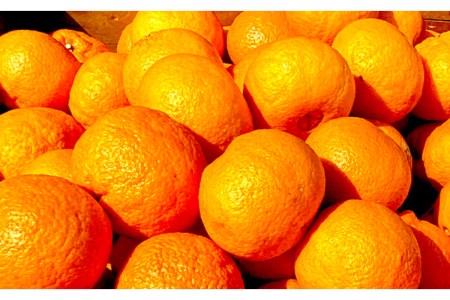 島の恵み 瀬戸内 柑橘 マーマレード 4本 セット  食べ比べ セット 紅八朔 レモン しらぬい ジャムセット シトラス お取り寄せグルメ 送料無料 広島県 呉市 ku055-002-r