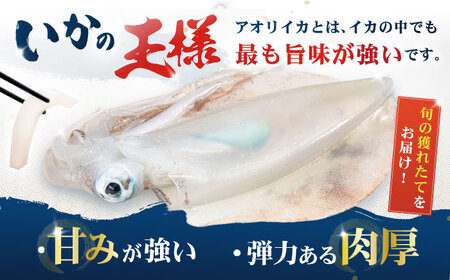 アオリイカ 1kg（2～4杯） [PEP005]  イカ 水いか 肉厚 いか 小分け 下処理済 冷凍 刺身 真空パック