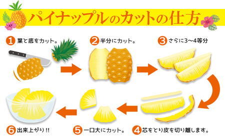 パイン 2026年発送【名護パイン園】ボゴールパイン約3kg（3～4玉） パイン