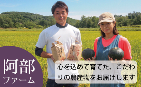 高評価★５！【2026年産先行受付】 かぼちゃ 北海道 10kg 甘い ホクホク 当麻町 阿部ファーム ダークホース カボチャ 南瓜 野菜 【AE-001】