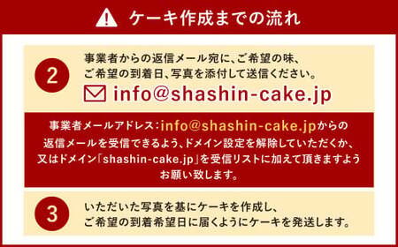 【生クリーム】サプライズに最適！ 写真ケーキ 70-100人用 特大サイズ プリント ケーキ お祝い 誕生日 還暦祝い