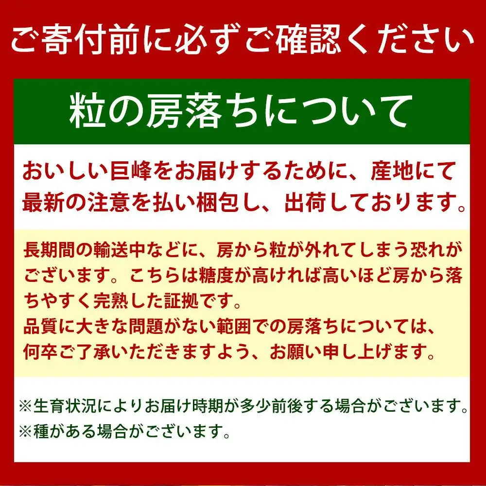 紀州有田産の巨峰ぶどう約３kg【先行予約】【2026年8月下旬以降発送予定】  巨峰