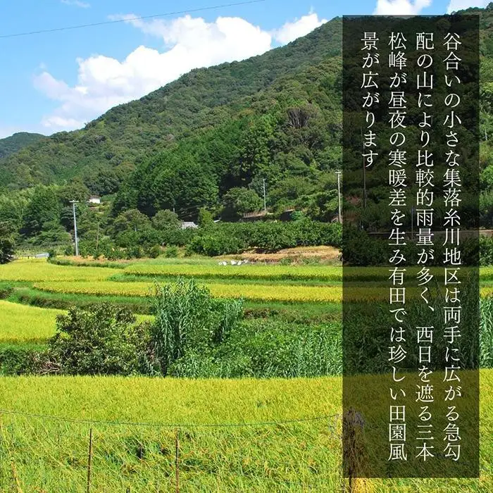 お米 10kg (5kg×2袋) 思いを繋ぐ糸川のお米 結意米 【ゆいまい】和歌山県産 【みかんの会】