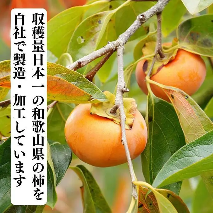 ドライフルーツ 柿チップ 200g ( 40g × 5袋 ) 和歌山県産 果物使用 自社製造 【みかんの会】