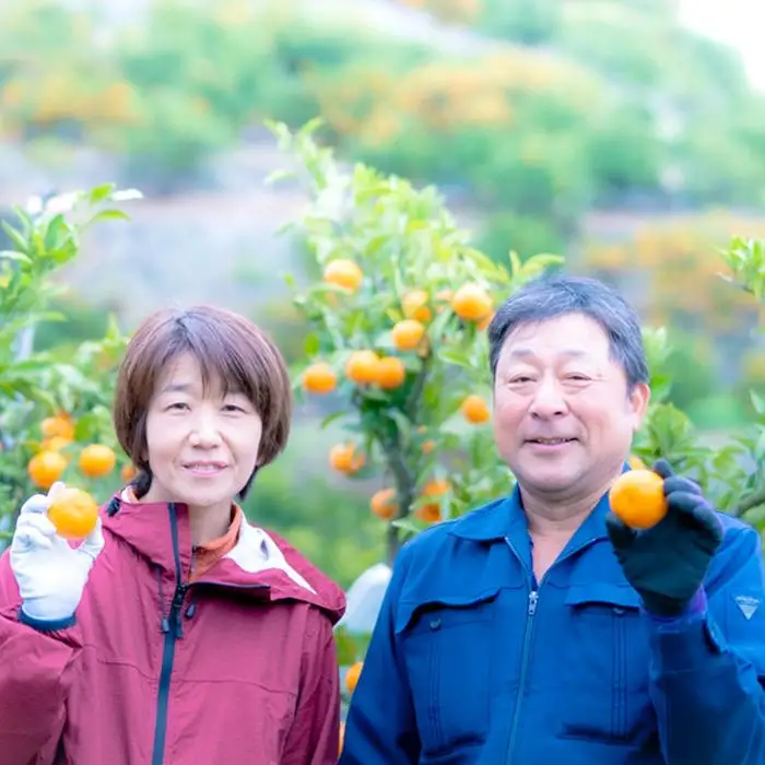 無添加100％みかんジュース 1000ml×1本【平武農園】～蛍飛ぶ町から旬の便り～