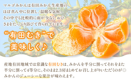 有田みかん 5kg 2Sサイズ 光センサー使用 高糖度