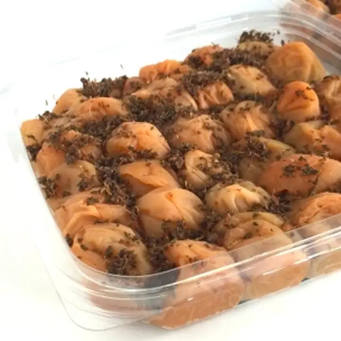 訳ありかつお梅干（紀州南高梅）1.2kg（600g×2）塩分11％
