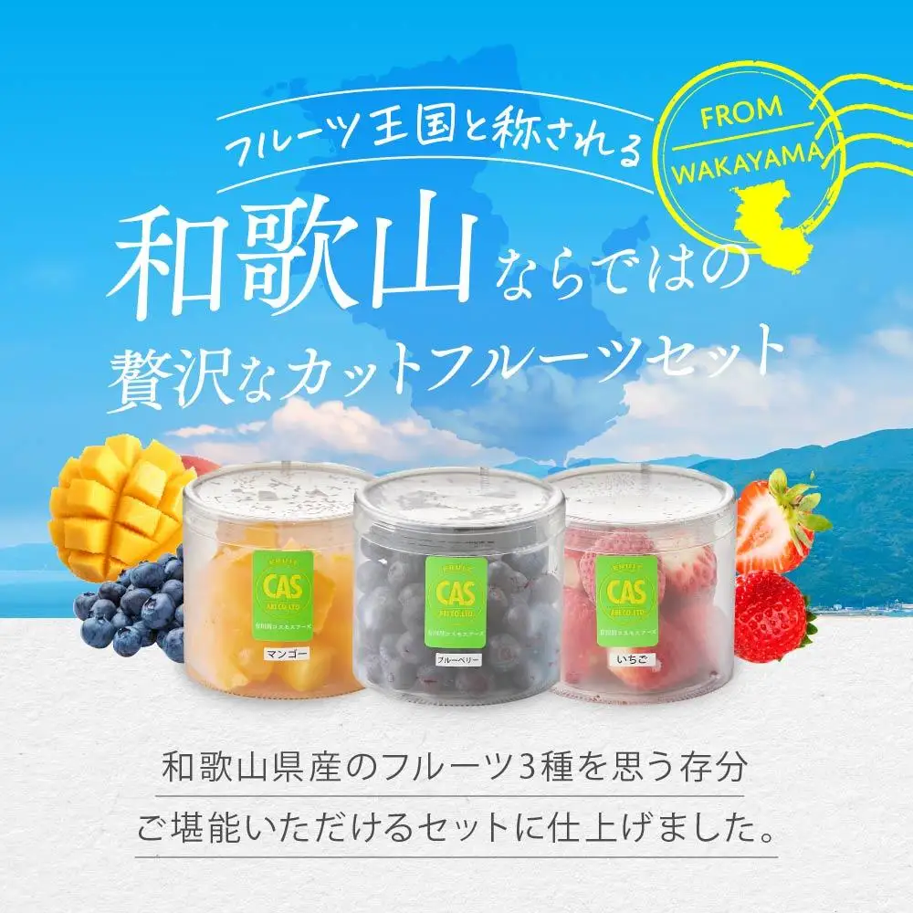 CAS凍結 和歌山県産 カットフルーツ いちご  マンゴー ブルーベリー 詰め合わせ 約100g × 6パック 合計約600g
