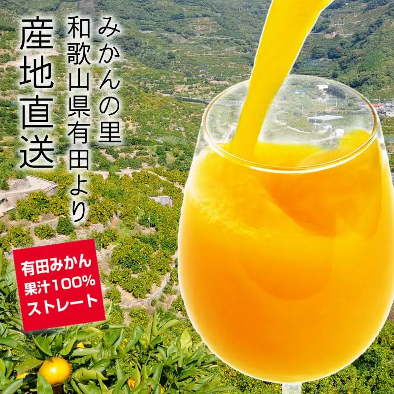 有田みかん果汁100％　無添加ストレートジュース（720ml×3本セット）