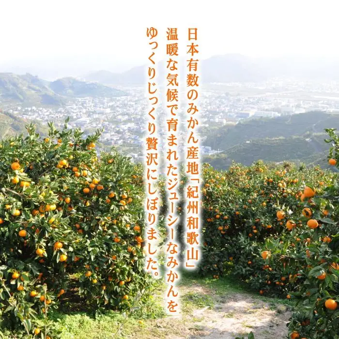 和歌山みかんジュース2種類セット（750ml×2本入）果汁100％無添加ストレート
